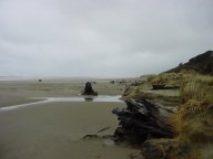 Ocean Beach