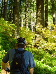 Alejo Trail