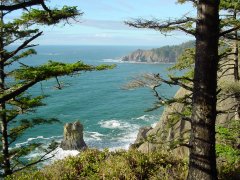 Oregon Coast