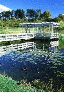 Cor-plan.jpg - 29.7 K